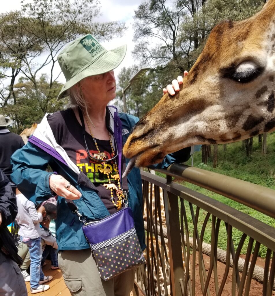 Feeding and Petting a Giraffe